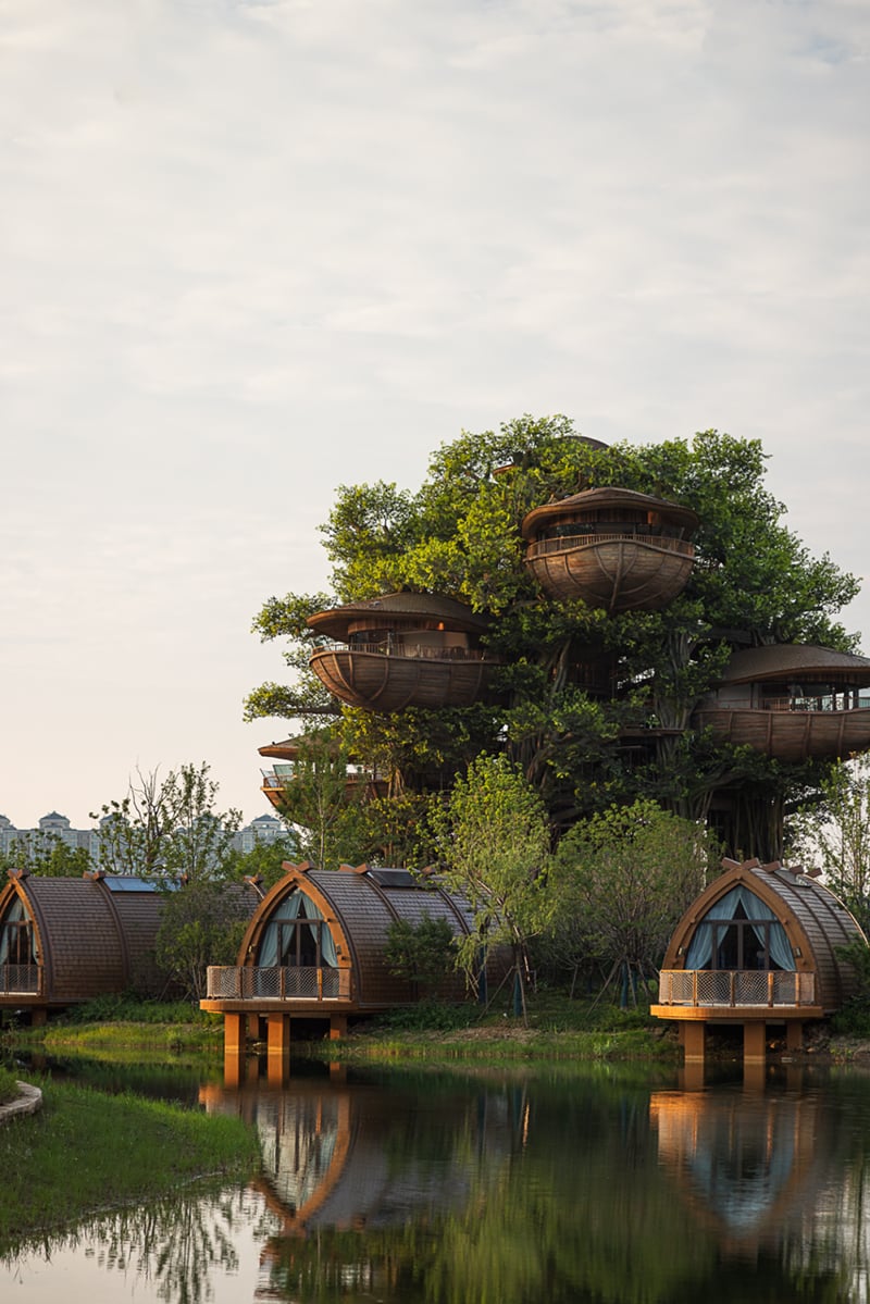 国际认可！武汉城建开元森泊度假乐园斩获2025伦敦设计奖铂金奖